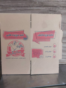 کارتن سازی شهبازی